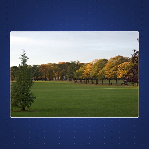 Victoria Park | £50 Cash