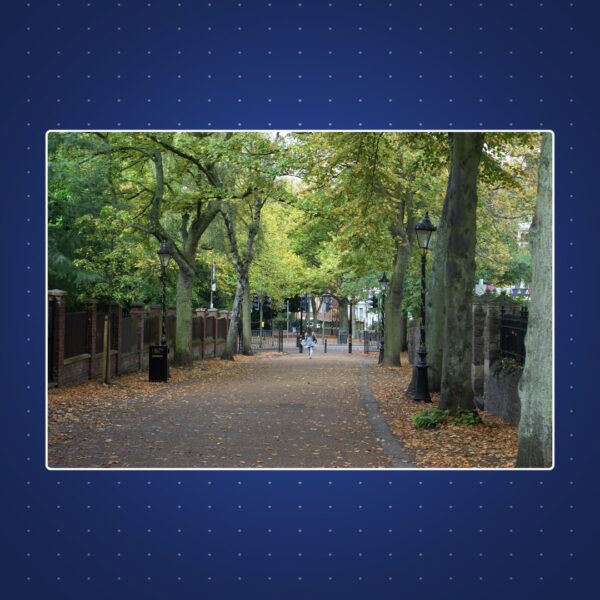 New Walk | £50 Cash